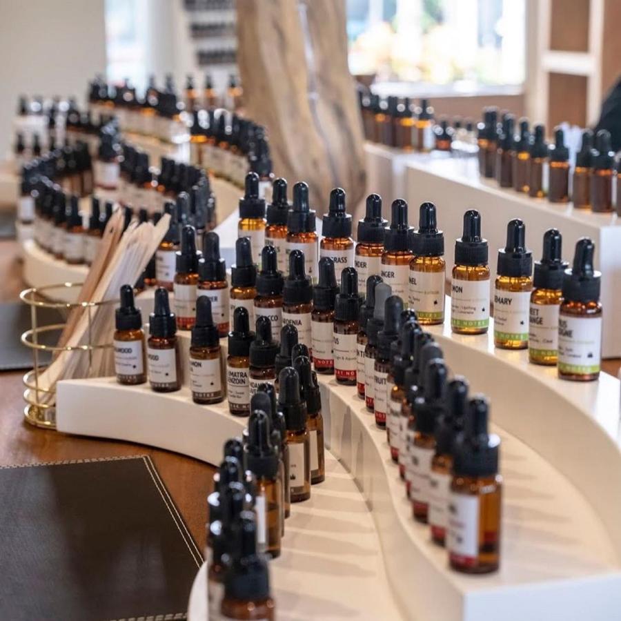 Ts Suites Семіньяк Екстер'єр фото A selection of Bach flower remedies